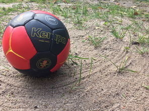 九游网页版官网入口-世界青年手球锦标赛中国队勇夺三连胜，世界手球锦标赛几年一次