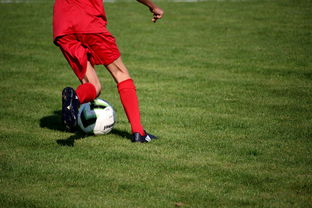 九游娱乐APP-篮球运动员心理韧性培养与干预体系，篮球运动员的心理选材